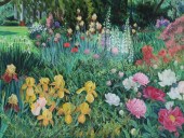 ELSIE DINSMORE POPKIN PASTEL D