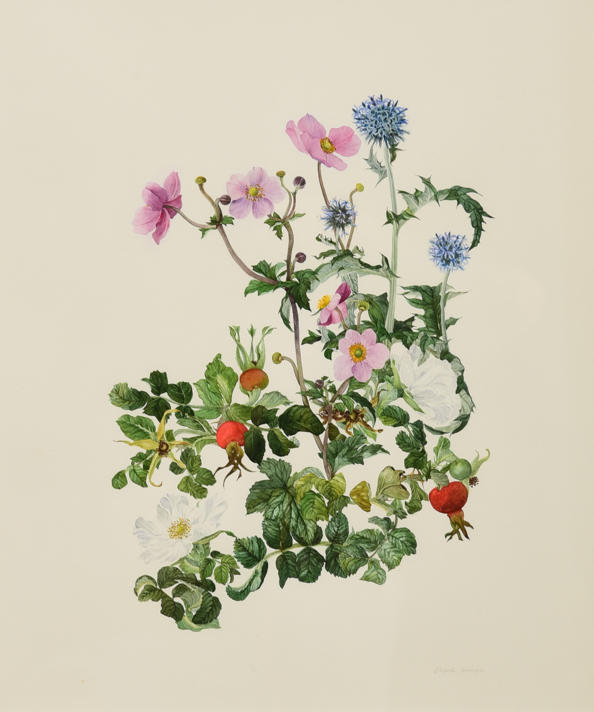 Elspeth Harrigan, 20th C