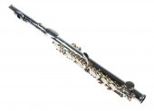 EMERSON EP2 PICCOLO WITH CASEE