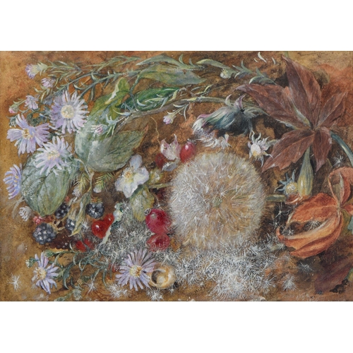 Emily S Percy, 19th c, - Still Life
