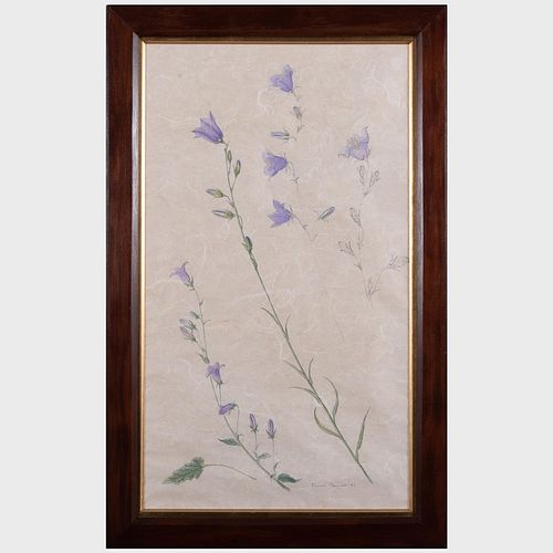 EMMA TENNANT (B. 1943): PURPLE