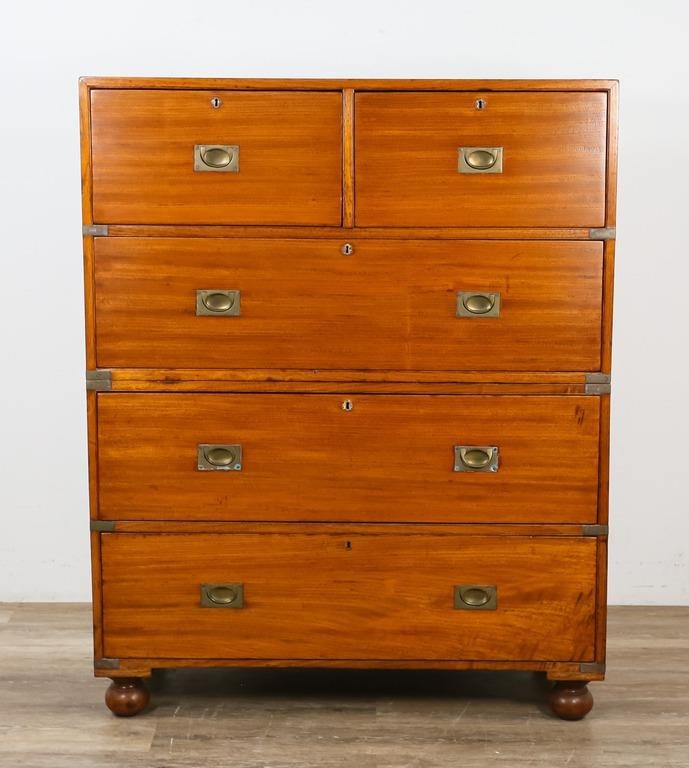 ENGLISH CAMPHOR WOOD CAMPAIGN
