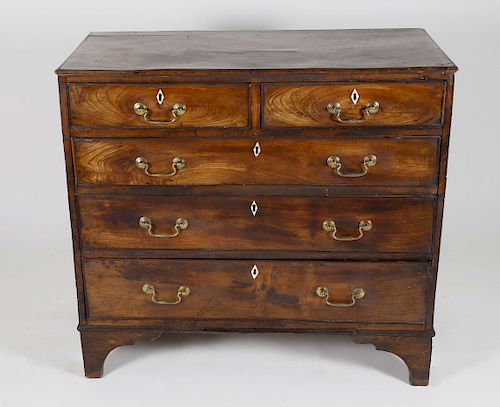 ENGLISH ELM BACHELOR'S TWO OVER