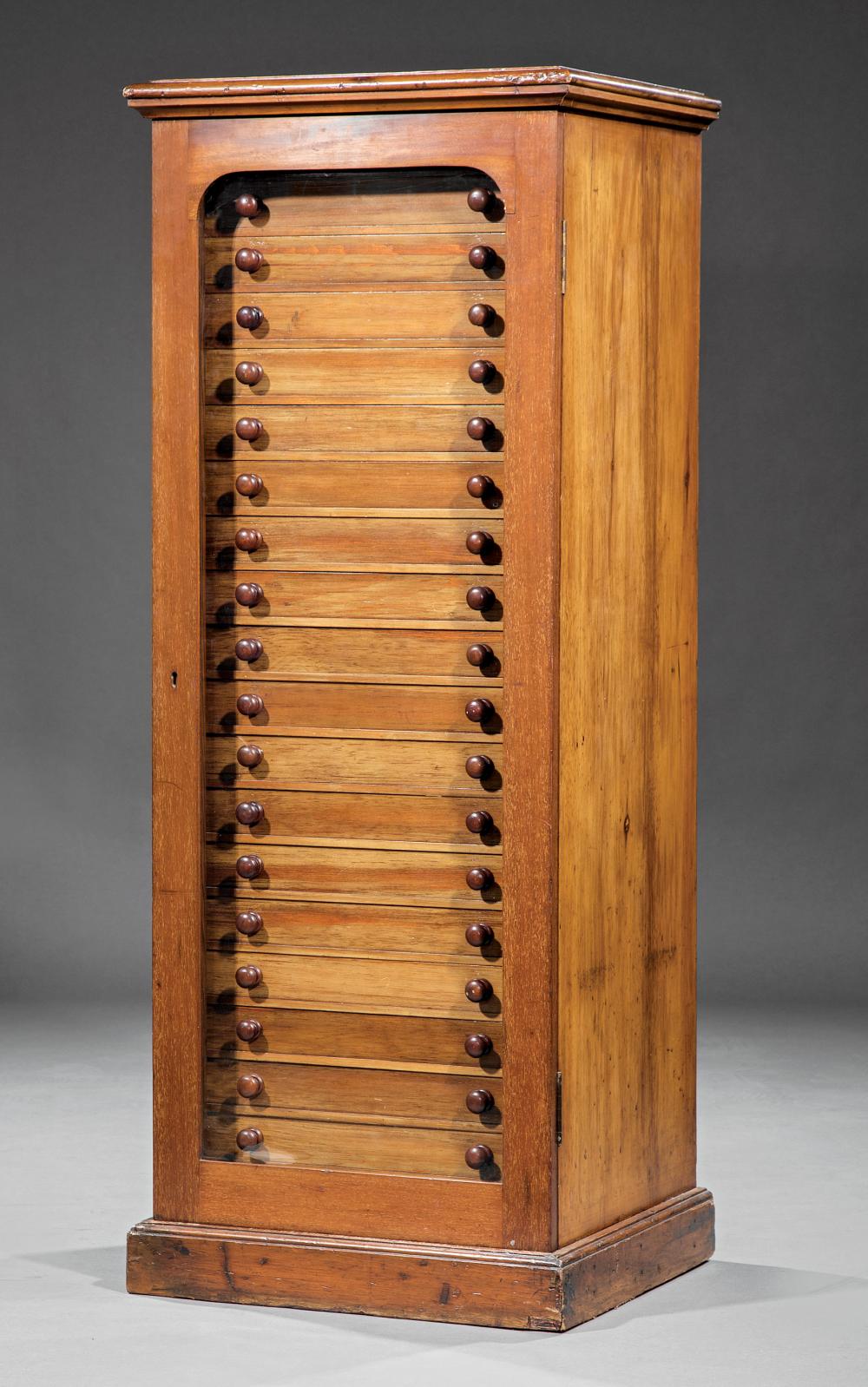ENGLISH MAHOGANY SPECIMEN