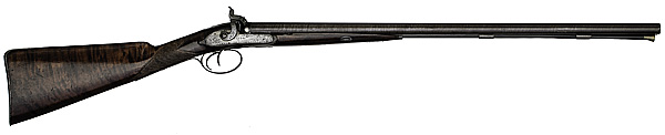 English Percussion Shotgun by
