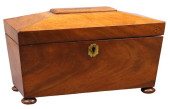 ENGLISH REGENCY MAHOGANY SARCO
