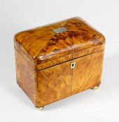 ENGLISH REGENCY TORTOISESHELL