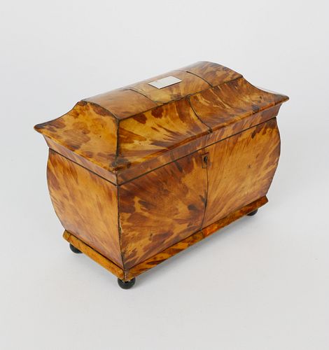 ENGLISH REGENCY TORTOISESHELL