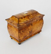 ENGLISH REGENCY TORTOISESHELL