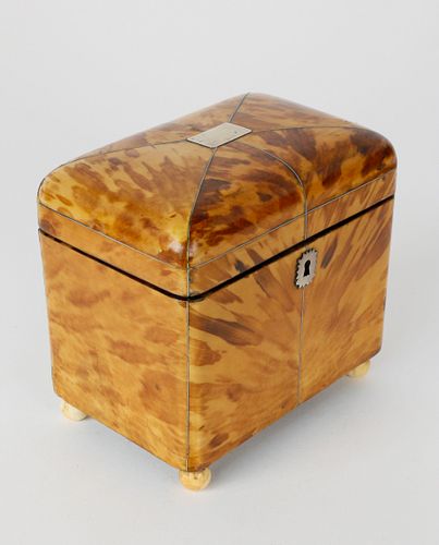 ENGLISH REGENCY TORTOISESHELL