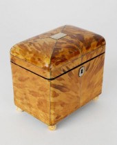 ENGLISH REGENCY TORTOISESHELL