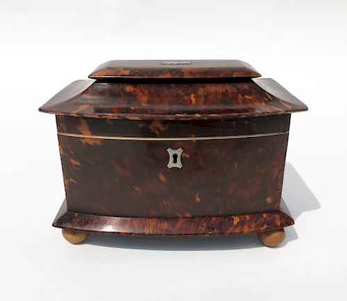 ENGLISH REGENCY TORTOISESHELL