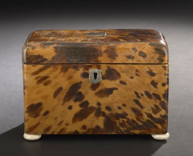English Russet Tortoiseshell