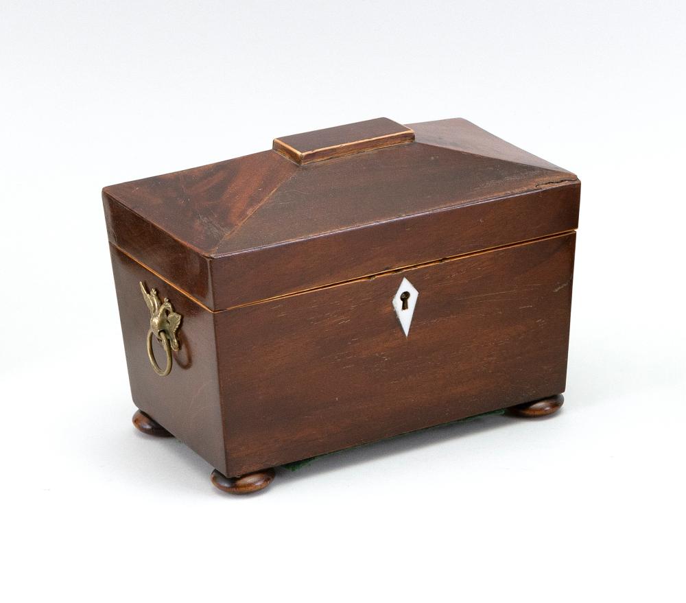 ENGLISH SARCOPHAGUS-FORM MAHOGANY
