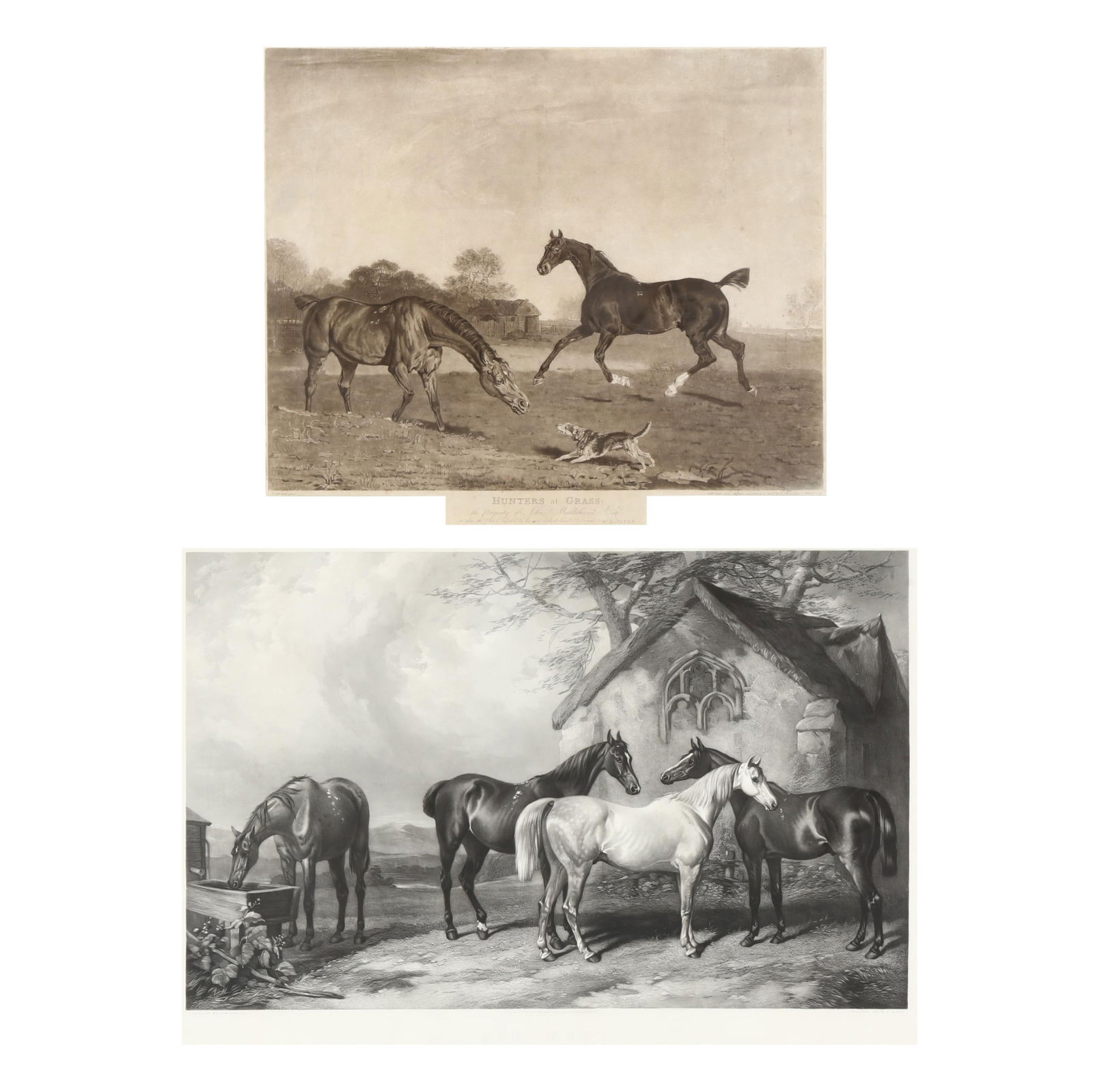 ENGLISH SCHOOL (19TH CENTURY),