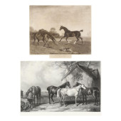 ENGLISH SCHOOL (19TH CENTURY),
