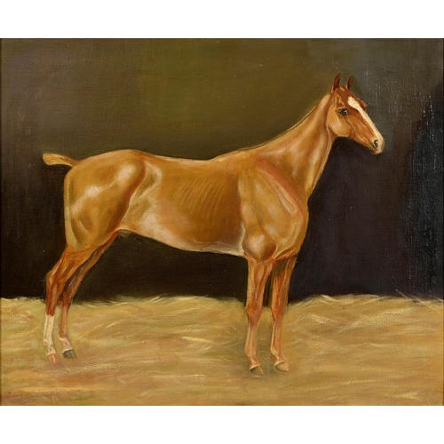 English School, 20th c - Portrait