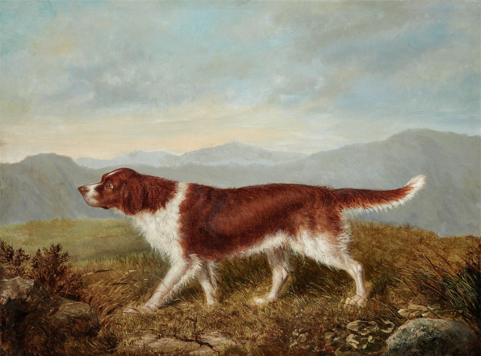 ENGLISH SCHOOL, A POINTER IN AN