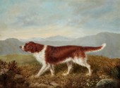 ENGLISH SCHOOL, A POINTER IN A