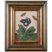 ENGLISH SCHOOL: AURICULA WITH