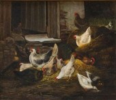 ENGLISH SCHOOL, CHICKENS AND D