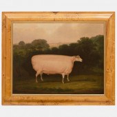 ENGLISH SCHOOL: SHEEP: A PAIRT