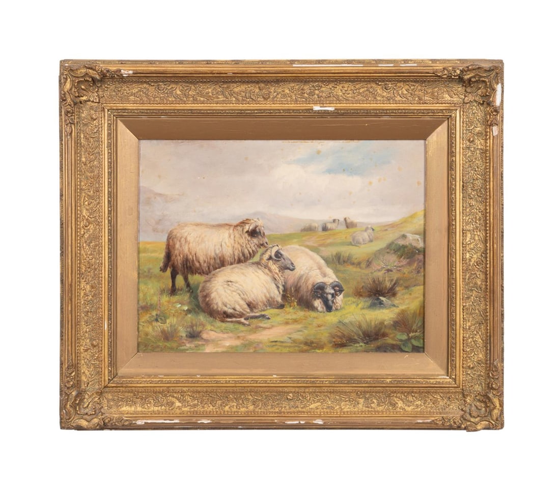 ENGLISH SCHOOL SHEEP IN MEADOW