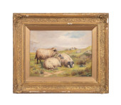 ENGLISH SCHOOL SHEEP IN MEADOW