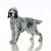 ENGLISH SETTER HN1051 - ROYAL
