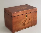 ENGLISH TIGER MAPLE SHELL INLA