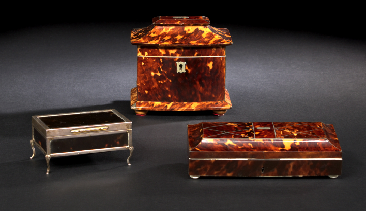 English Tortoiseshell