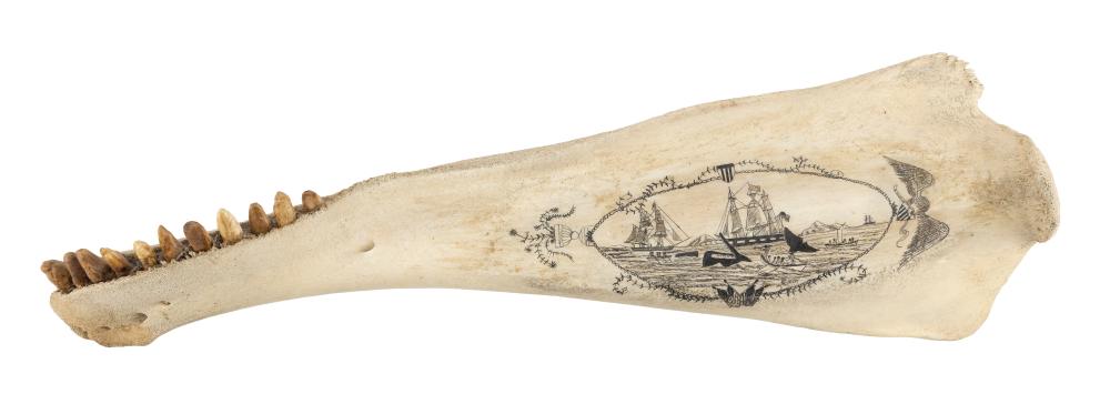 * ENGRAVED BLACKFISH JAWBONE BY