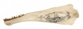 * ENGRAVED BLACKFISH JAWBONE B