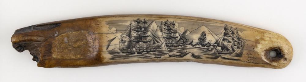 * ENGRAVED PETRIFIED WALRUS TUSK