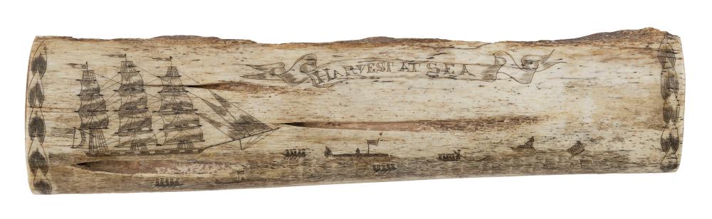 * ENGRAVED PIECE OF JAWBONE