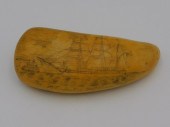 ENGRAVED SCRIMSHAW TOOTH. 19TH