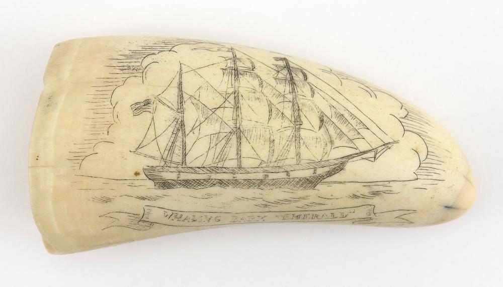 * ENGRAVED WHALE’S TOOTH 20TH