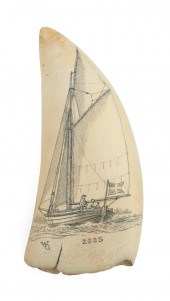 * ENGRAVED WHALE'S TOOTH ATTRI