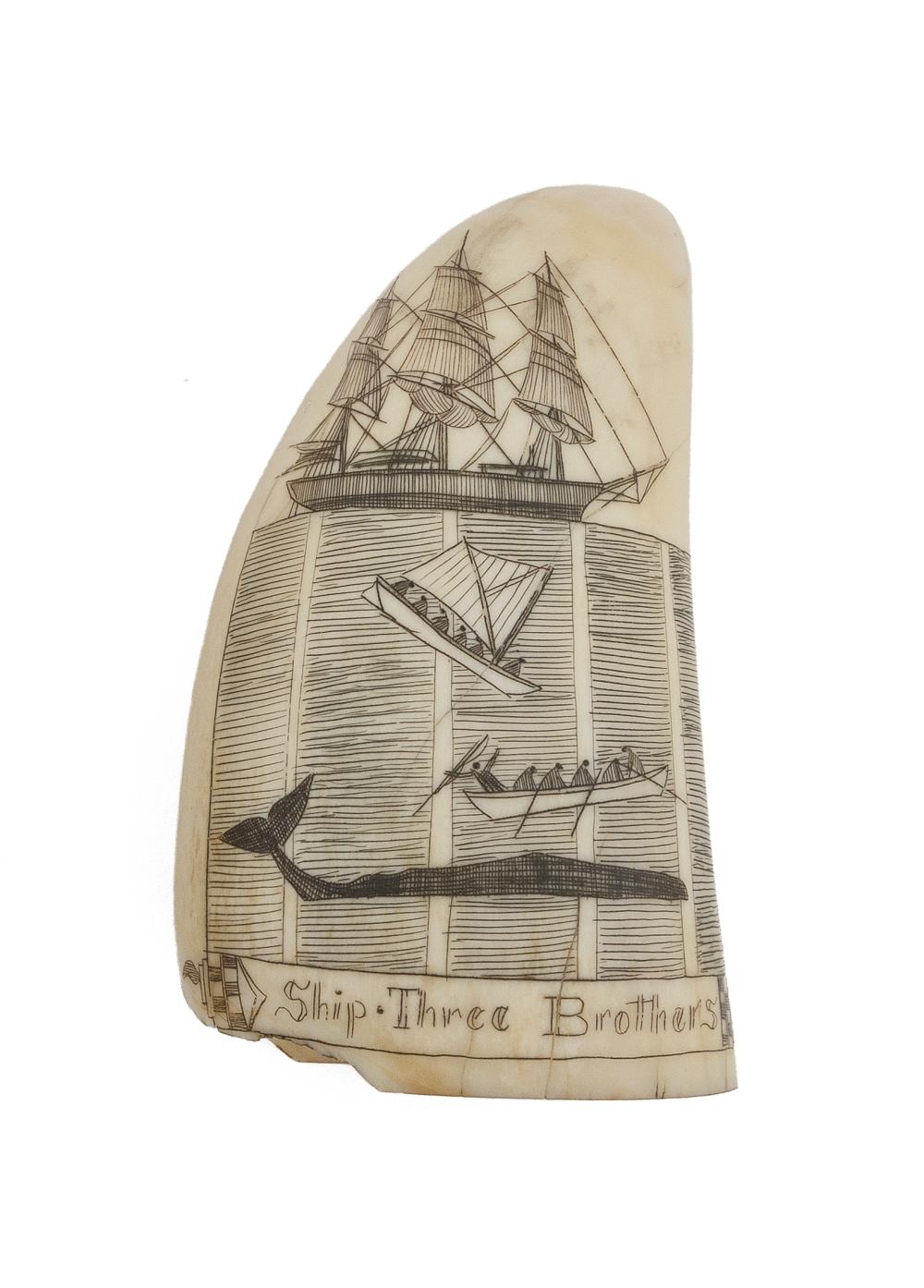 * ENGRAVED WHALE'S TOOTH BY