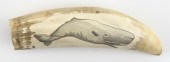 * ENGRAVED WHALE’S TOOTH CONTE