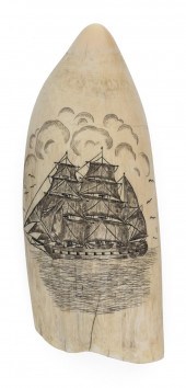 * ENGRAVED WHALE'S TOOTH WITH