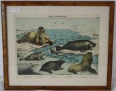 ENGRAVING OF SEALS AND MANATEE