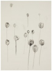 ENOC PEREZ (B.1967), TULIPS, G