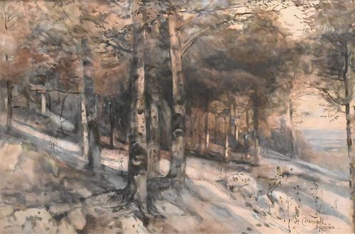 ENRICO HENRI COLEMAN (1846 -