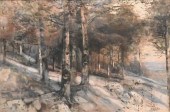 ENRICO HENRI COLEMAN (1846 - 1