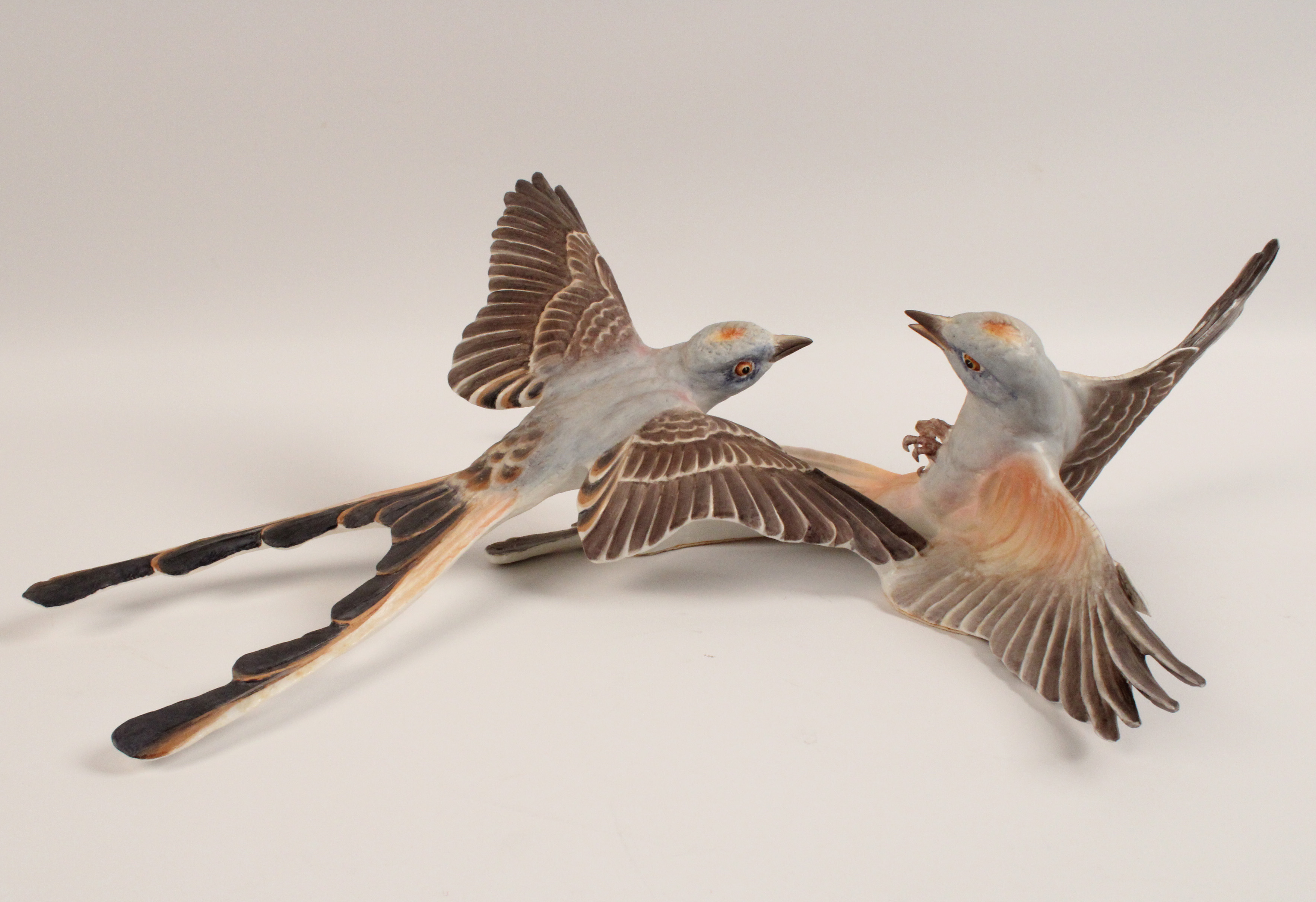 ENTANGLED PAIR OF SCISSOR TAILED
