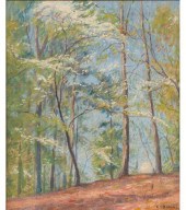 Ernest Harrison Barnes (Americ