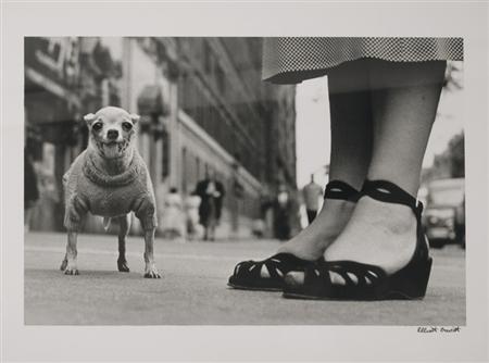 ERWITT, ELLIOTT (b. 1928) New