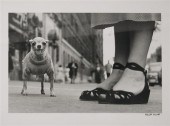 ERWITT, ELLIOTT (b. 1928) New
