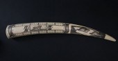 ESKIMO SCRIMSHAW WALRUS TUSK C
